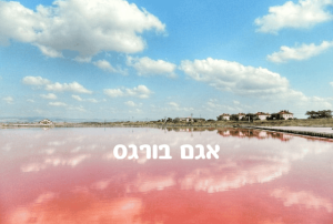 אגם בורגס